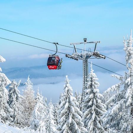 Bukova Lodge Bukowina Tatrzańska Eksteriør bilde