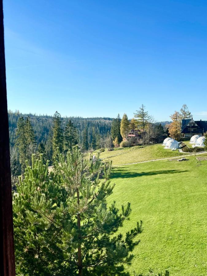 Bukova Lodge Bukowina Tatrzańska Eksteriør bilde